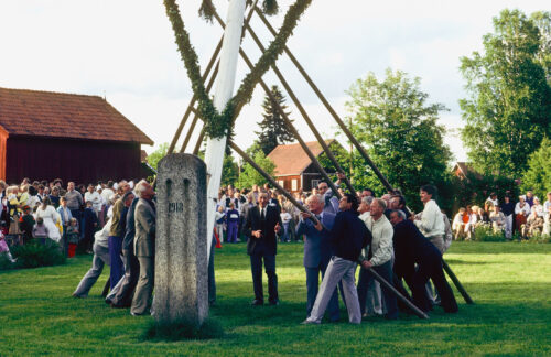 Pilt Nils ser till att stången kommer upp på rätt vis vid majstångsresningen i Djura. Juni 1984
