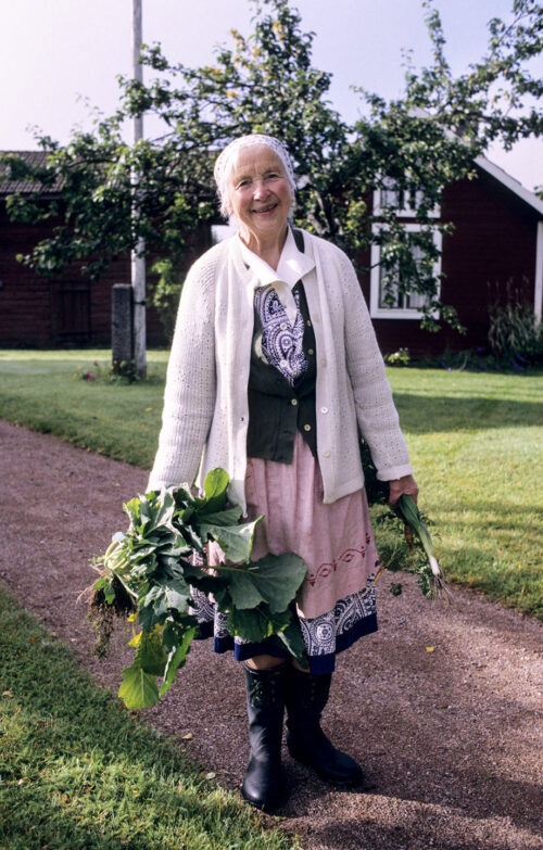 Hanna Back (Jobs Hanna) hade skördat i trägårdslandet. Augusti 1987